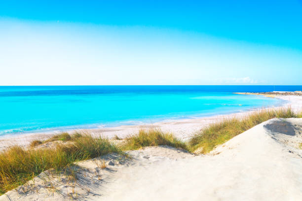 Le Spiagge Bianche tra Rosignano Solvay e Vada