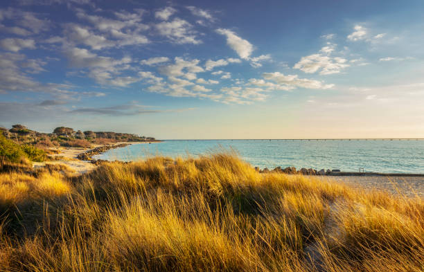 Le dune di Vada al tramonto