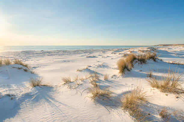 Le dune sabbiose di Vada, frazione di Rosignano Marittimo